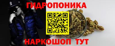 эйфоретик Анжеро-Судженск