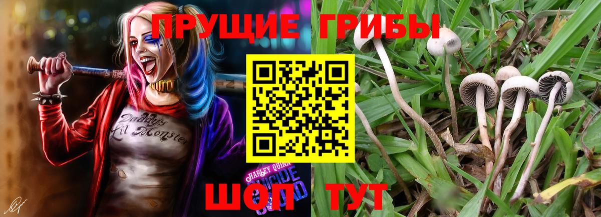 Псилоцибиновые грибы MAGIC MUSHROOMS  Псилоцибиновые грибы Cubensis  Вход с VPN  Борисоглебск 